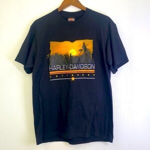 Harley Davidson - One Cool Bikers Island Aruba , Dutch Caribbean Lizard Bike LG